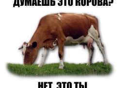 Исполнительский сбор в 25 году