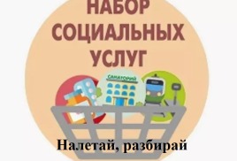 Социальные услуги в натуральной форме