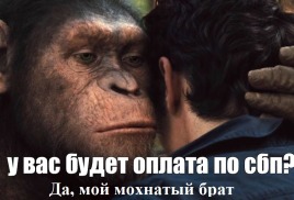 Система быстрых платежей для нотариусов и адвокатов