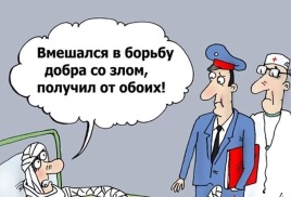 Пчёлы против мёда – или новая битва бобра с ослом