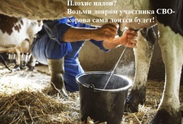 Трудоустройство участника СВО