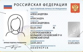 Электронный паспорт в Москве