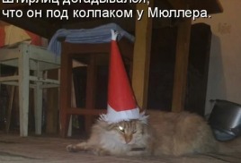 Долги  да приставы кругом